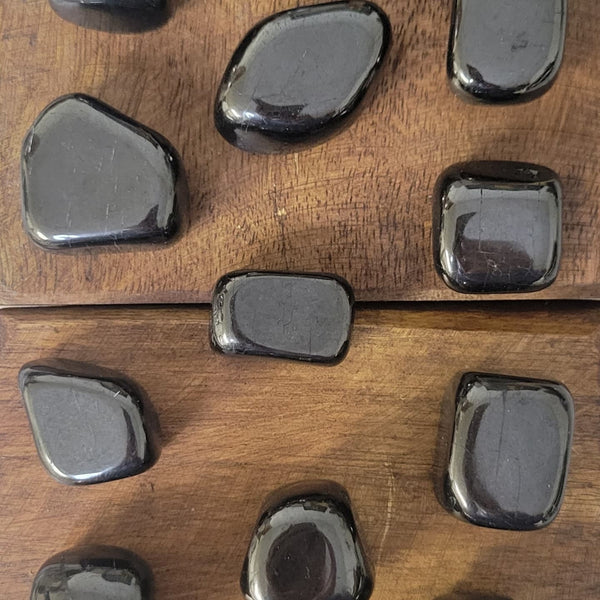 Shungite Tumble